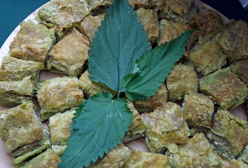 OLYMPUS DIGITAL CAMERA OLYMPUS DIGITAL CAMERA